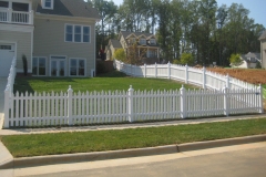 Stained Fencing
