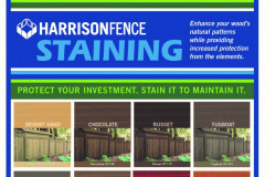 Stain Color Options