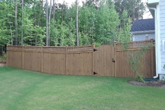 Stained Fencing