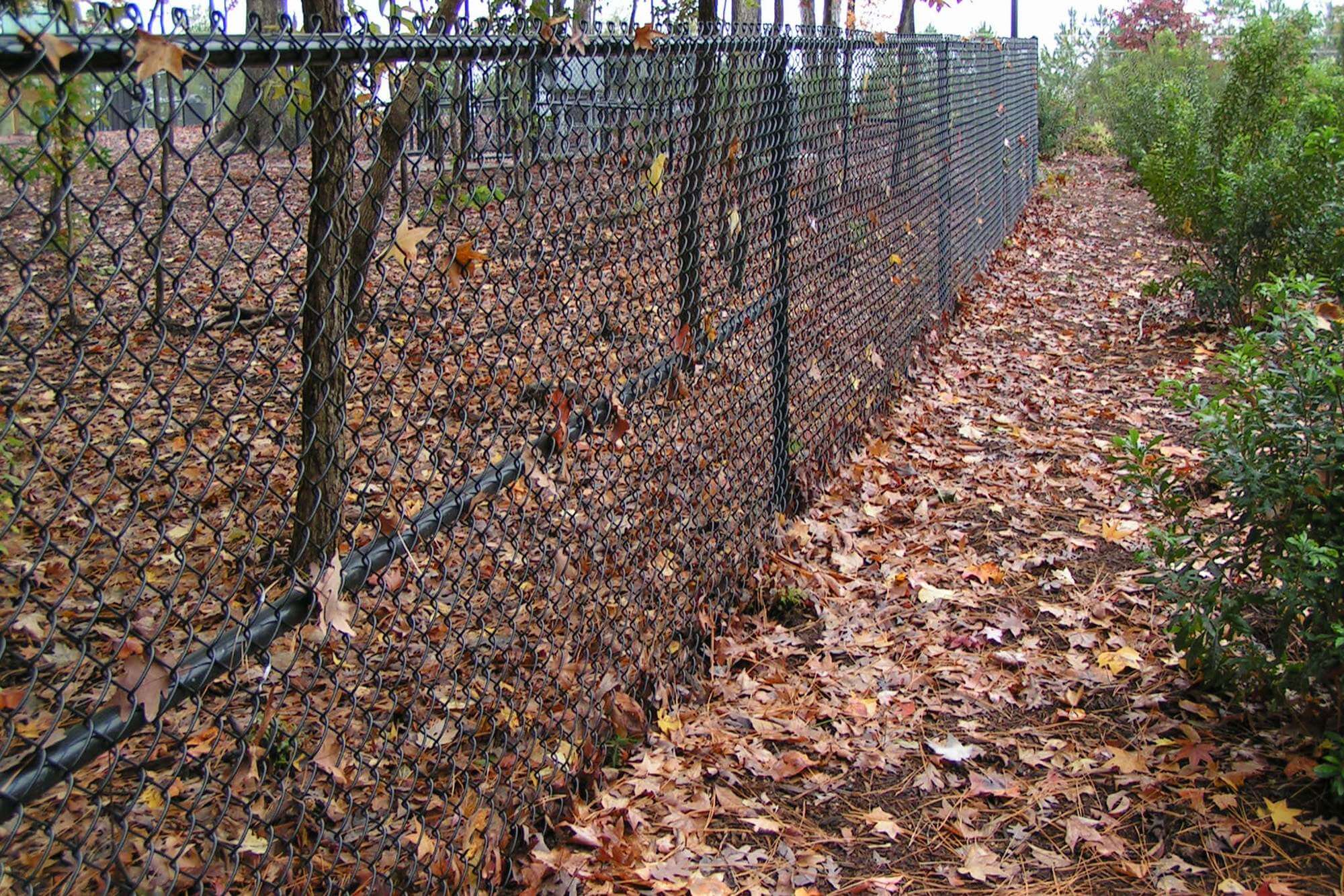 Black vinyl coated chain link fence in raleigh, Raleigh chain link fence